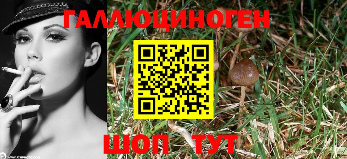 Псилоцибиновые грибы MAGIC MUSHROOMS Пыть-Ях