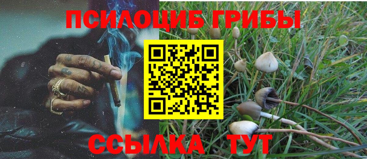 Пыть-Ях  цены наркотик  Вход с VPN  Галлюциногенные грибы Psilocybe  Псилоцибиновые грибы мухоморы 